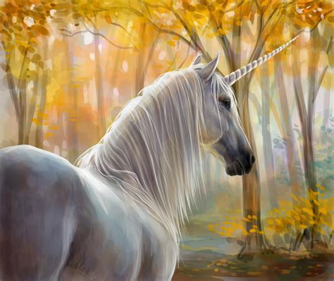 The magical unicorn societu